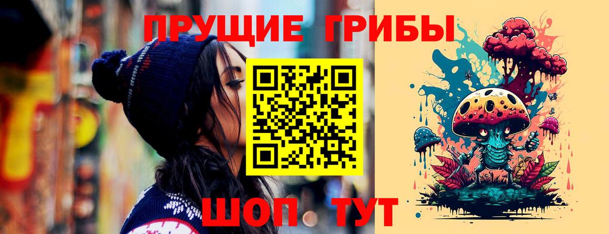 Псилоцибиновые грибы MAGIC MUSHROOMS  Вход с VPN  Новороссийск  Галлюциногенные грибы Psilocybine cubensis 