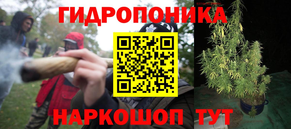 Каннабис марихуана  МАРИХУАНА OG Kush  Вход с VPN  Новороссийск  Бошки марихуана конопля 